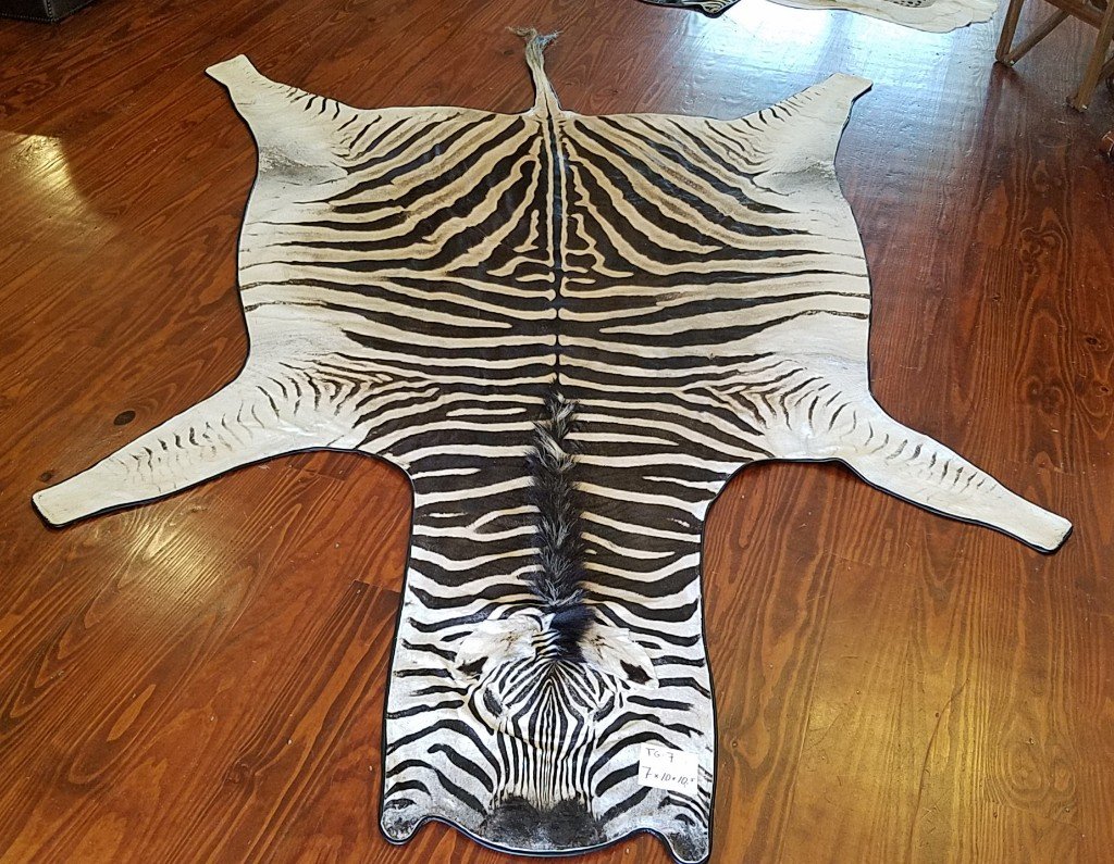 Zebra skin pillows